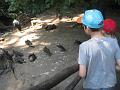 Zoo Cottbus 109